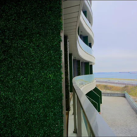 Western Premier Ottoperla